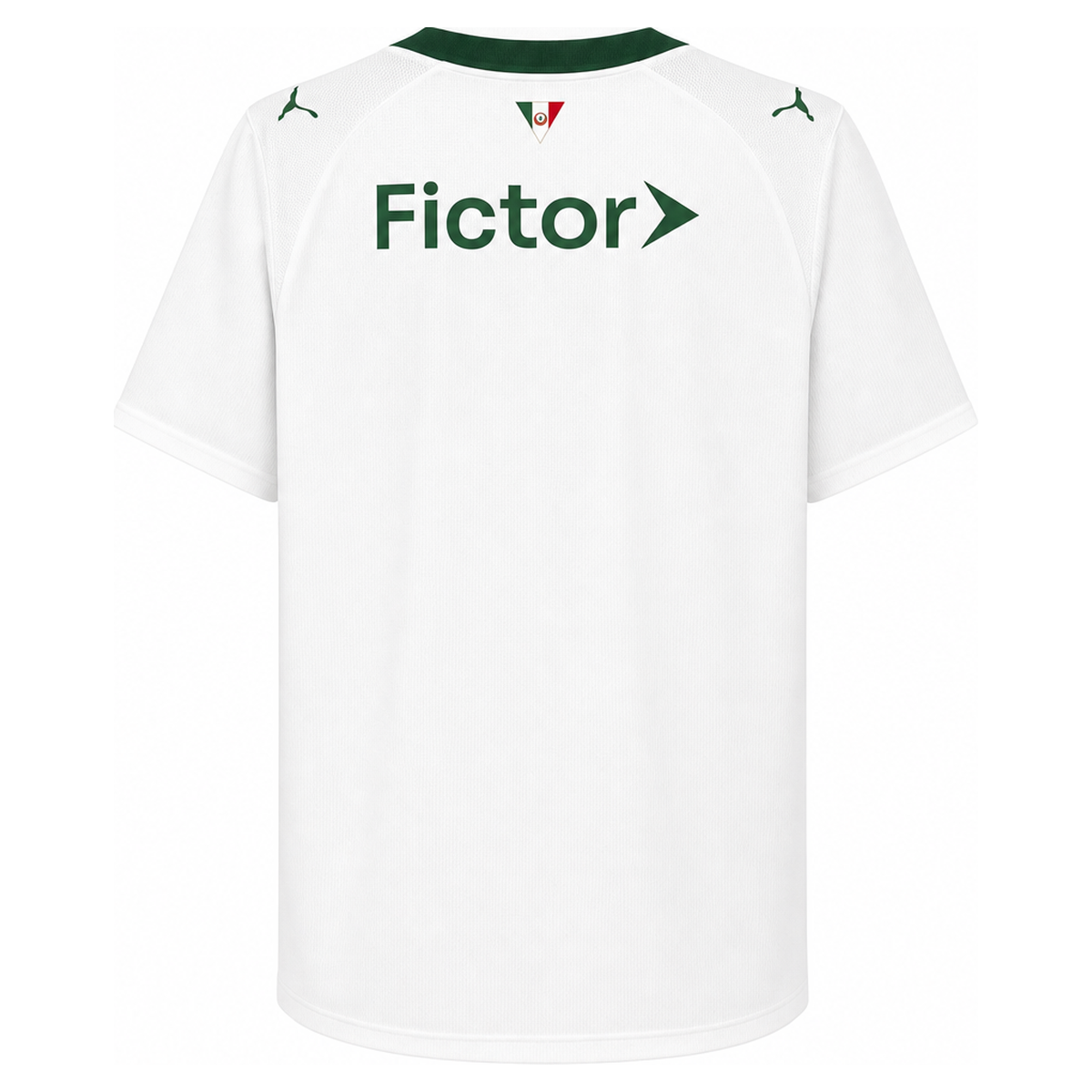 PALMEIRAS EXTERIEUR 2026 – Image 2
