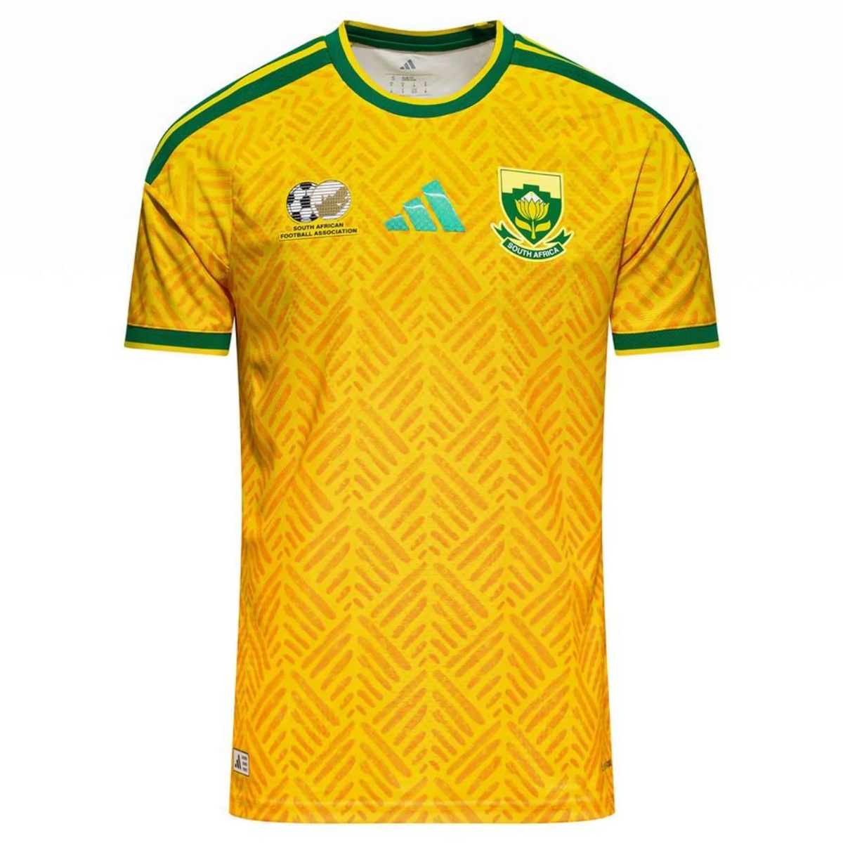 AFRIQUE DU SUD DOMICILE 2026