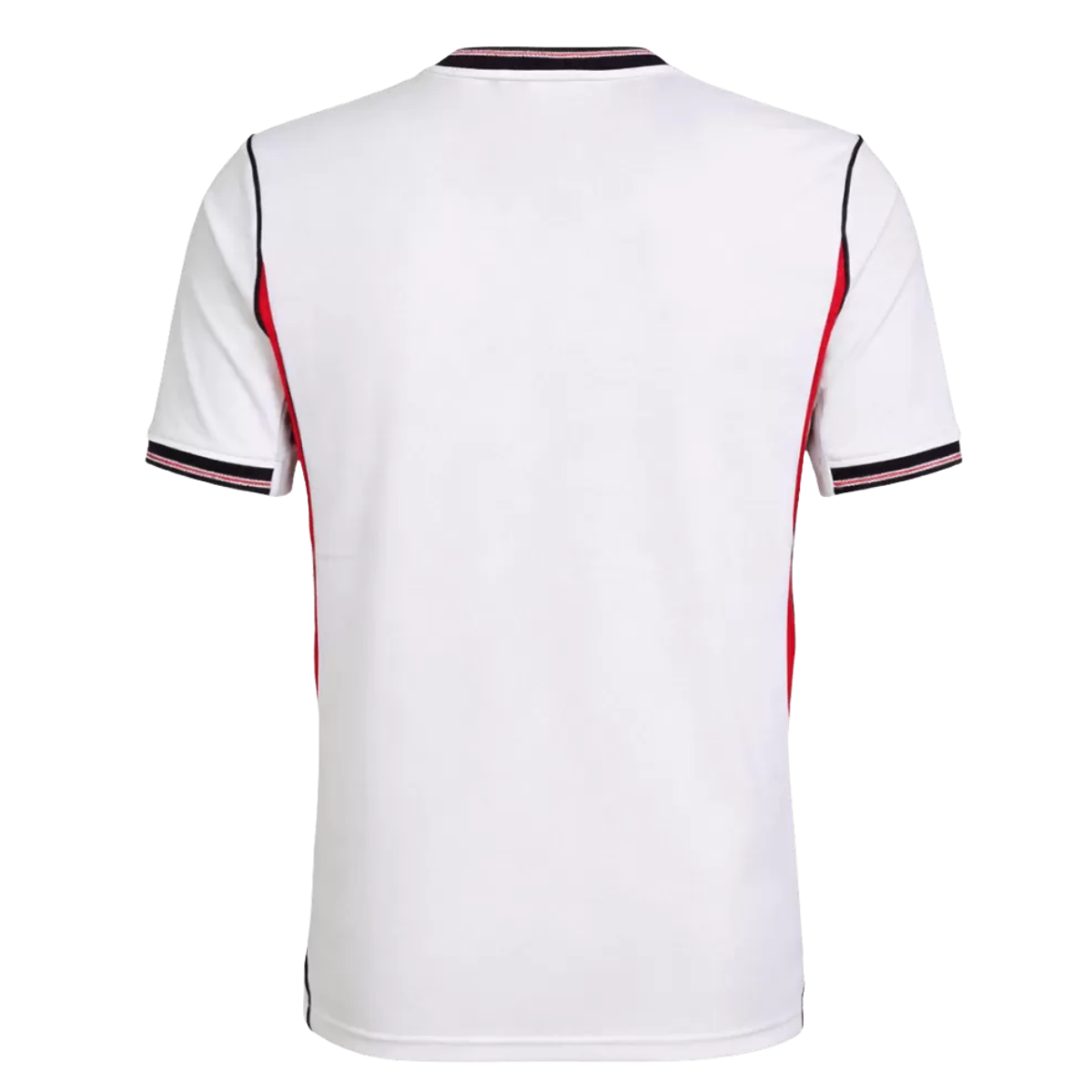 ANGLETERRE DOMICILE 2026 – Image 2