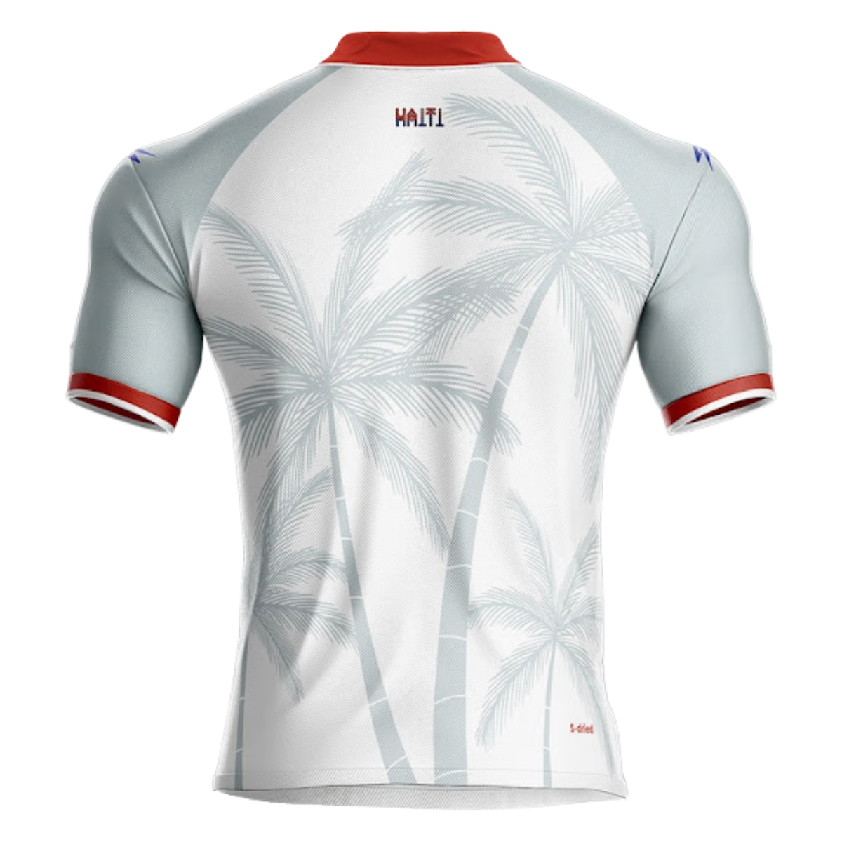 HAÏTI EXTERIEUR 2026 – Image 2